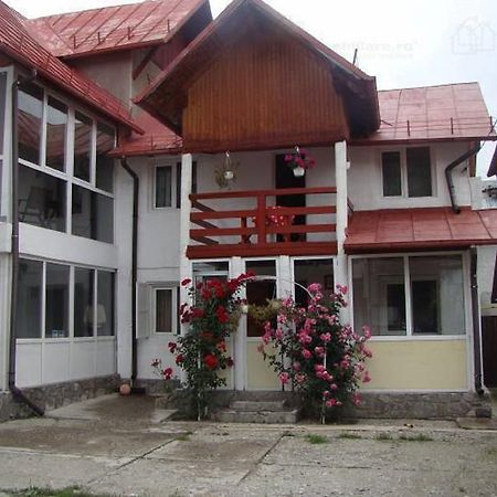 Vila Laura Buşteni Buitenkant foto