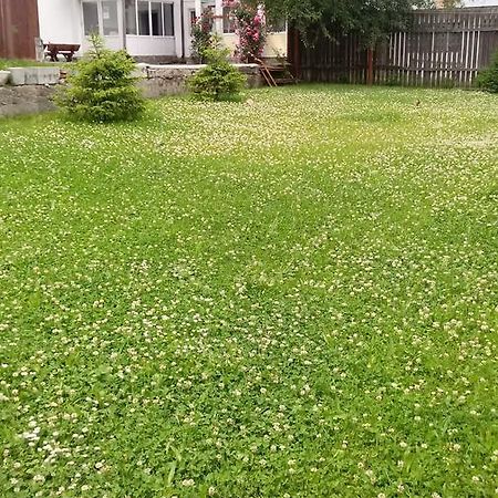 Vila Laura Buşteni Buitenkant foto